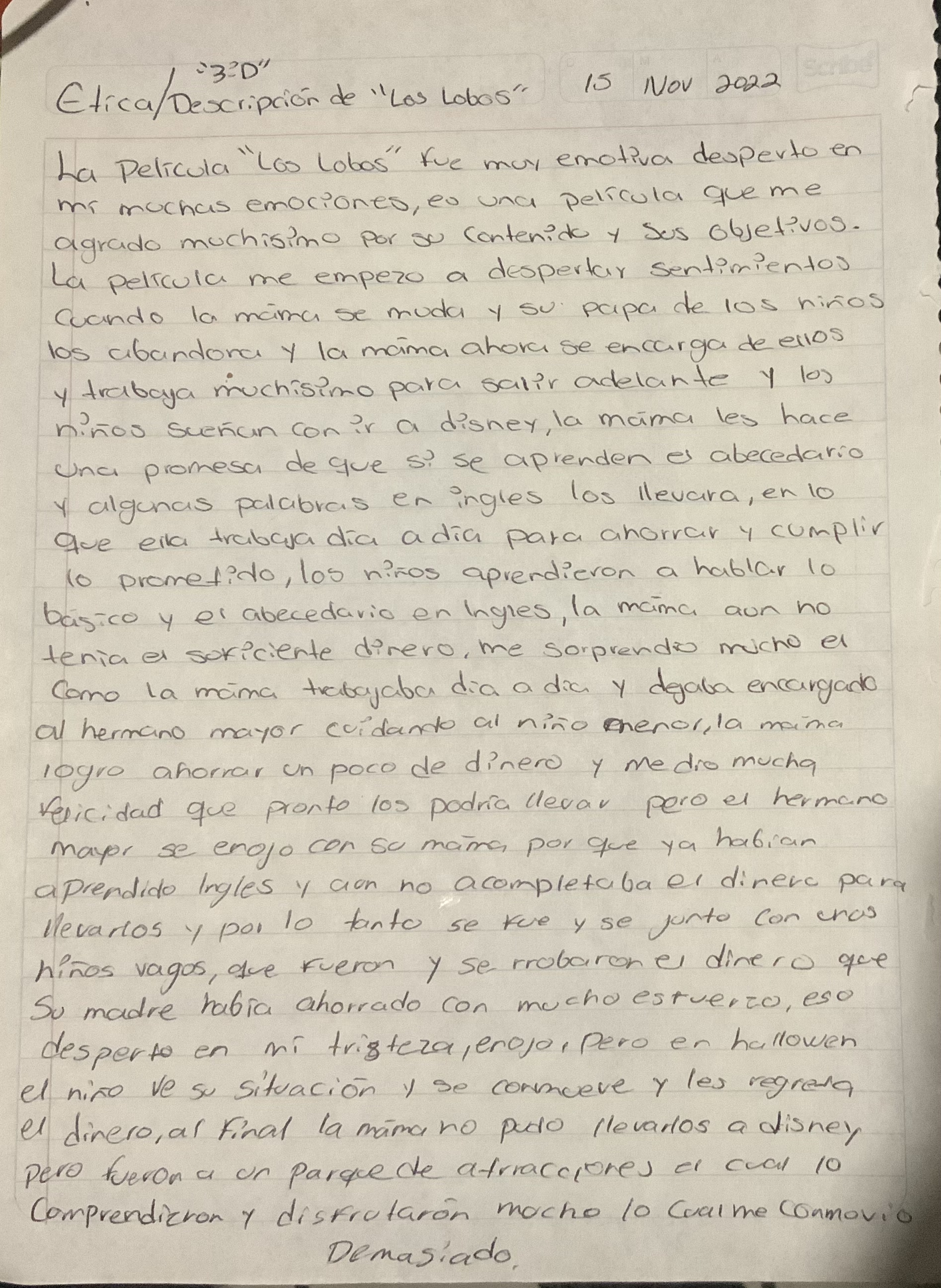 Imagen 7