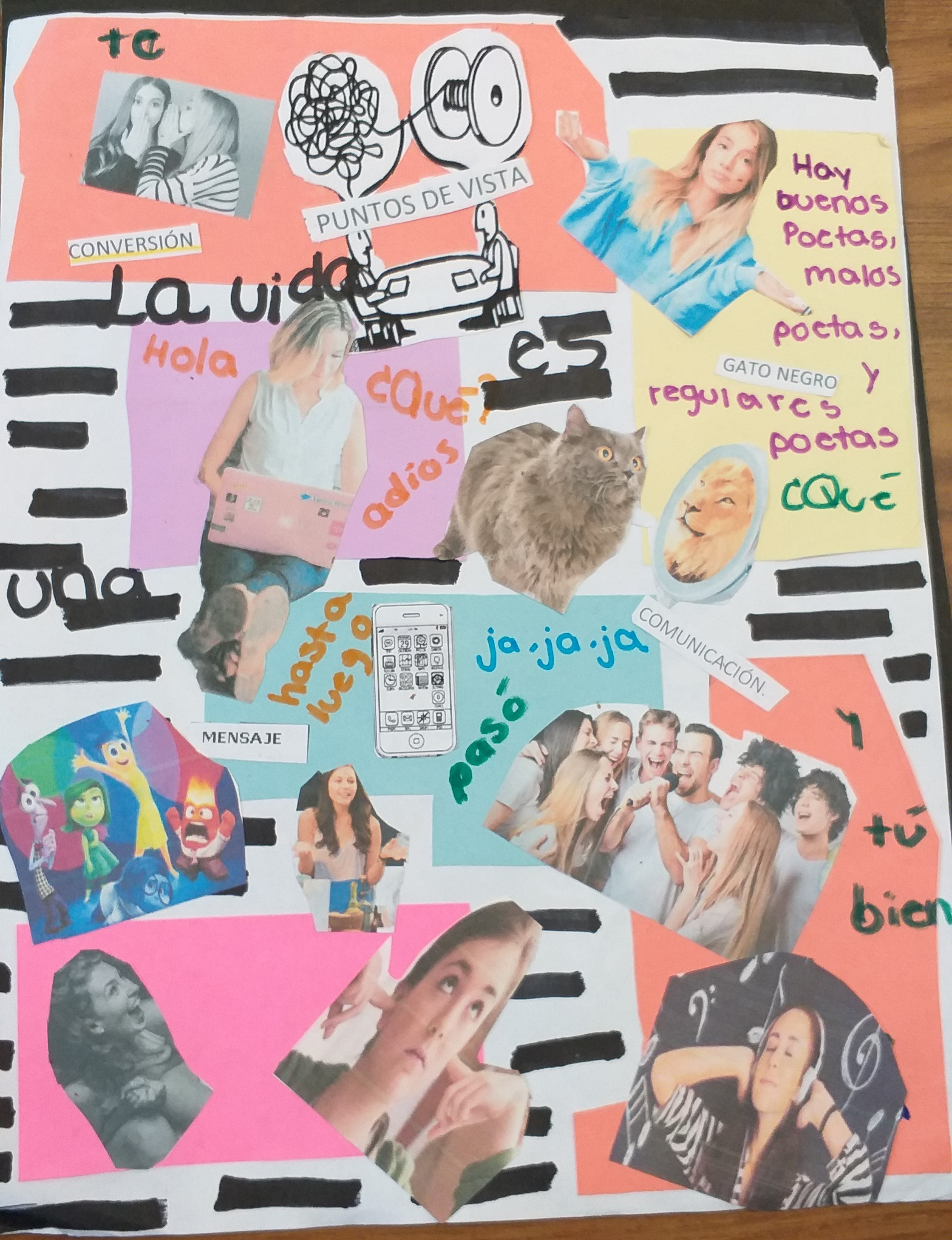 Imagen 5